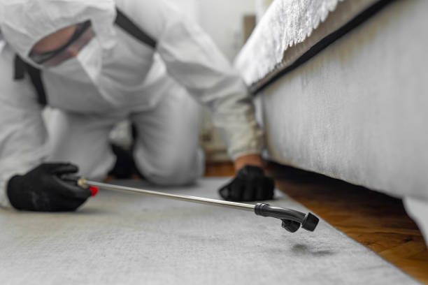 Professional Termite Control technician working in Lakes East, CT
