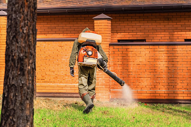 Trusted Rodent Control service in Lakes East, CT - Nex Pest Control
